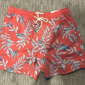 BRAND NEW with tags American eagle swim shorts.